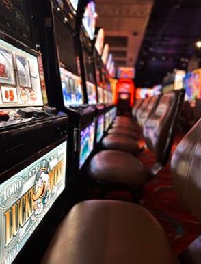 game live casino 8Day